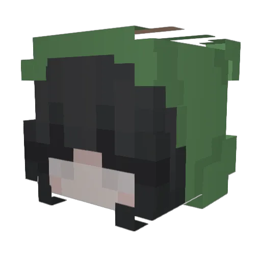 SumoFences Minecraft avatar head, 3D render