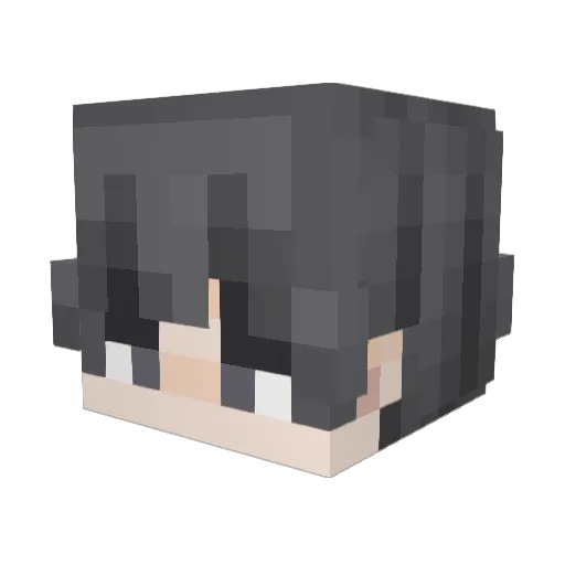 Sumo_LiuYan Minecraft avatar head, 3D render