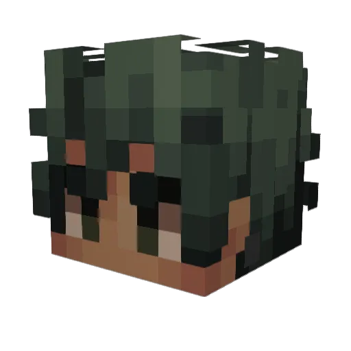 Sumoli Minecraft avatar head, 3D render