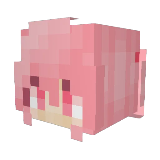 Sumsaar Minecraft avatar head, 3D render