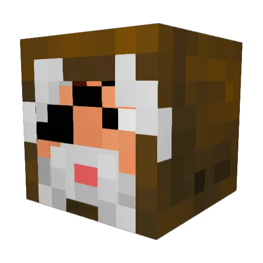 Sumsarsan Minecraft avatar head, 3D render