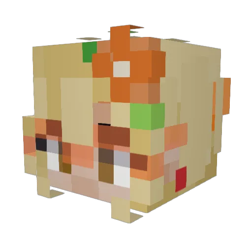 Sumsup2002 Minecraft avatar head, 3D render