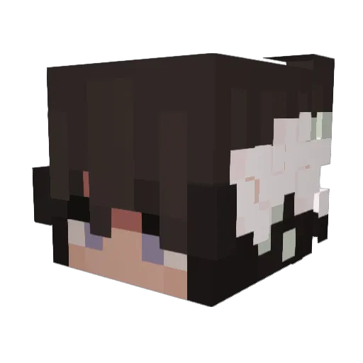 SumthinDum Minecraft avatar head, 3D render