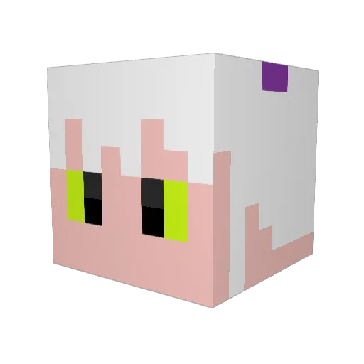 Sumulu Minecraft avatar head, 3D render