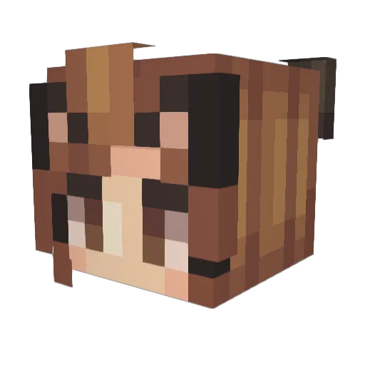 Sumy Minecraft avatar head, 3D render