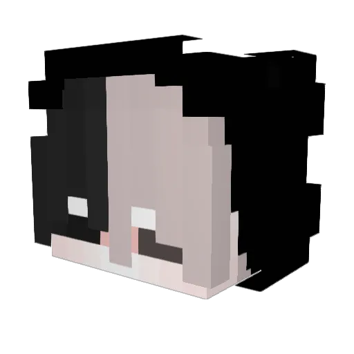 SunBentley_ Minecraft avatar head, 3D render