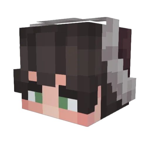 SunBoy Minecraft avatar head, 3D render