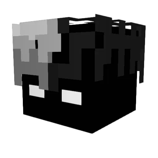 SunChan2 Minecraft avatar head, 3D render