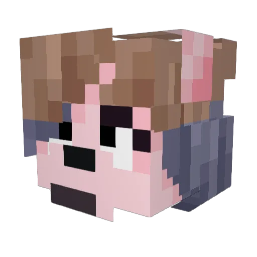 SunDogSqueak Minecraft avatar head, 3D render