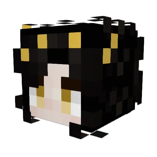 SunDropStudios Minecraft avatar head, 3D render