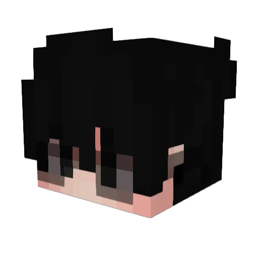 SunGu Minecraft avatar head, 3D render