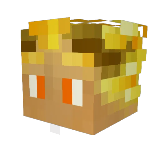 SunGy65 Minecraft avatar head, 3D render