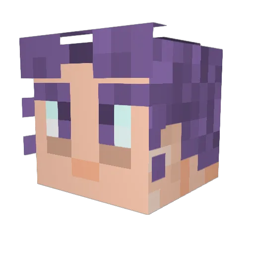 SunLight924 Minecraft avatar head, 3D render