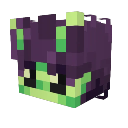 SunRayz__ Minecraft avatar head, 3D render