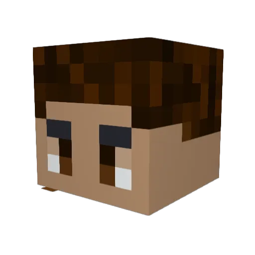 SunShadow5959 Minecraft avatar head, 3D render