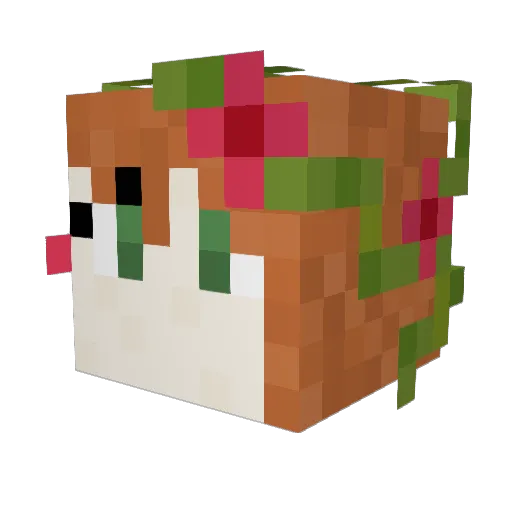 SunShine0857 Minecraft avatar head, 3D render