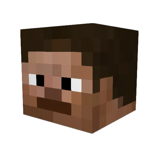 SunShineDnB Minecraft avatar head, 3D render