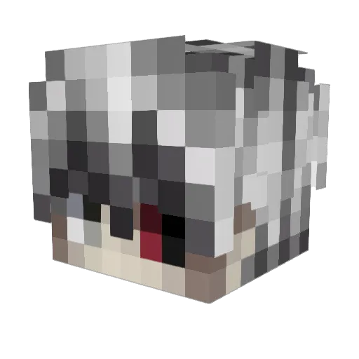 SunShine_Moon_ Minecraft avatar head, 3D render