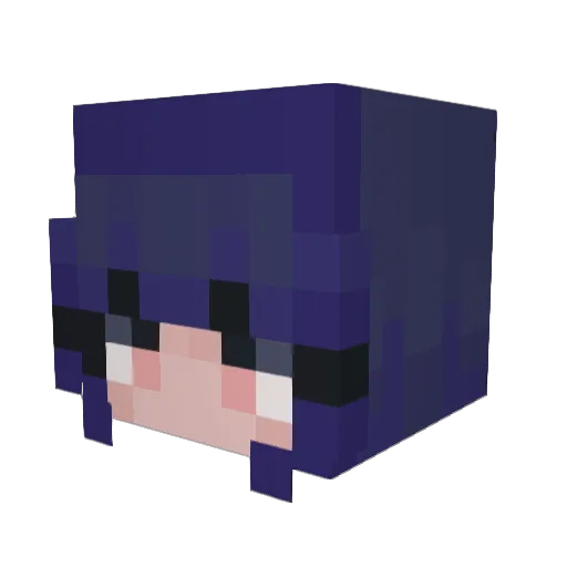SunTea2711 Minecraft avatar head, 3D render