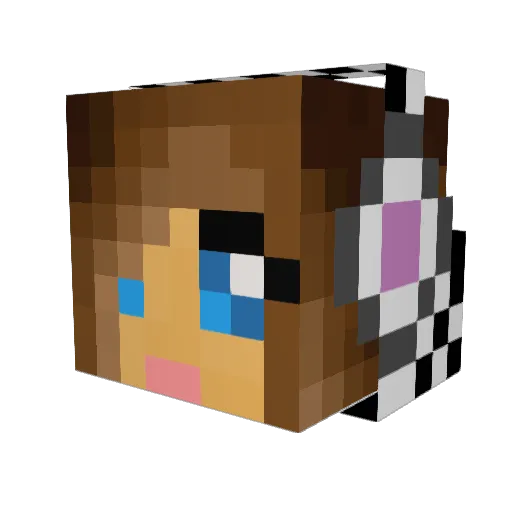 Sun_Girl_3003 Minecraft avatar head, 3D render