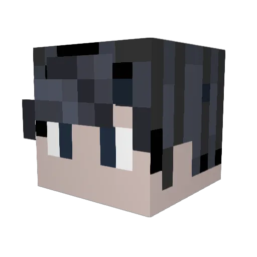 Sun_Raccoon Minecraft avatar head, 3D render