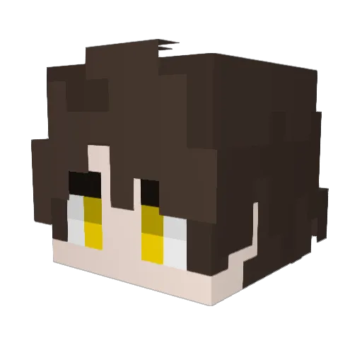 Sun_Shine_ Minecraft avatar head, 3D render
