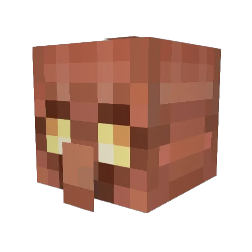 Sun_gry Minecraft avatar head, 3D render