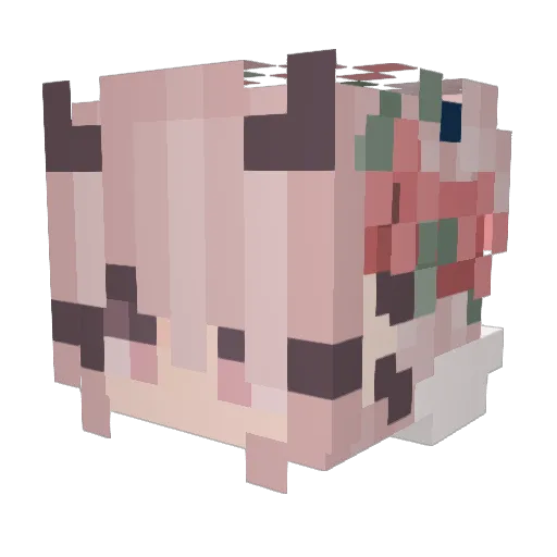 Sunatha Minecraft avatar head, 3D render