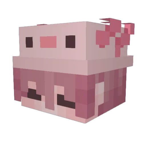 Sunax_e Minecraft avatar head, 3D render