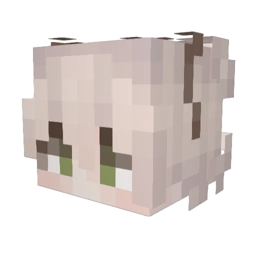 Sunboiiii Minecraft avatar head, 3D render