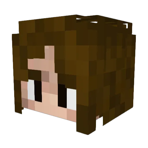 SunburntFrog Minecraft avatar head, 3D render