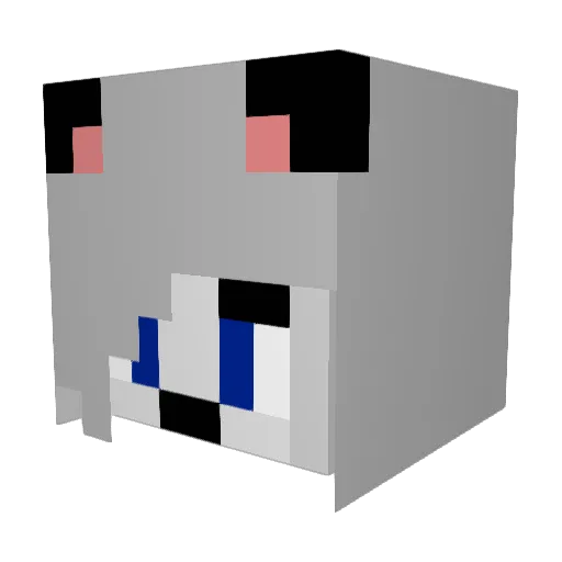 Sunchiine Minecraft avatar head, 3D render