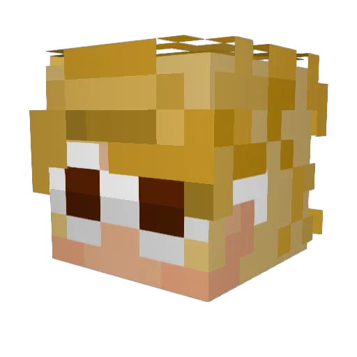 SundaeGaming949 Minecraft avatar head, 3D render