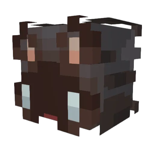 Sundar222 Minecraft avatar head, 3D render