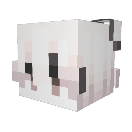 SundayUnsprin Minecraft avatar head, 3D render