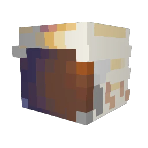 Sundeww_ Minecraft avatar head, 3D render