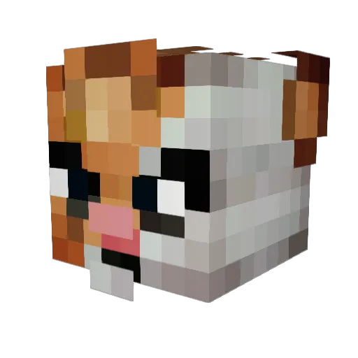 Sundogy Minecraft avatar head, 3D render