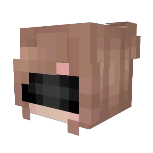 Sunergwad Minecraft avatar head, 3D render