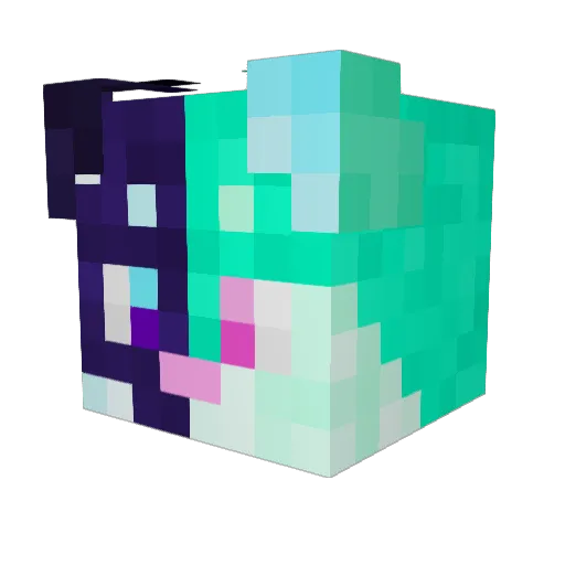 Sunfish4467 Minecraft avatar head, 3D render