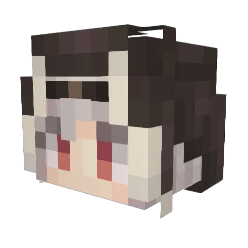 Sunfish731 Minecraft avatar head, 3D render