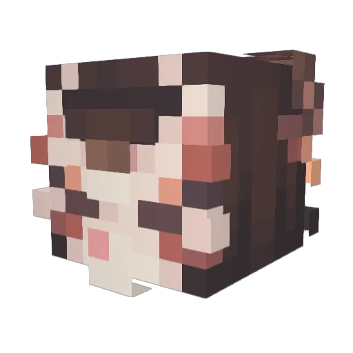 Sunflow4 Minecraft avatar head, 3D render