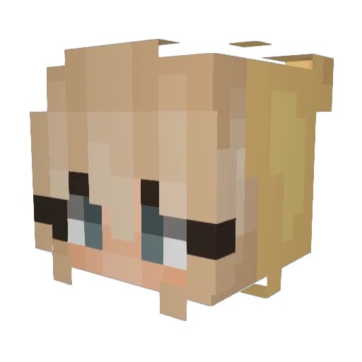 Sunflower0917 Minecraft avatar head, 3D render