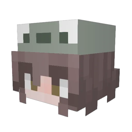Sunflower1211 Minecraft avatar head, 3D render
