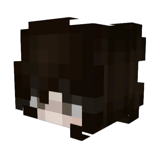 Sunflower125 Minecraft avatar head, 3D render