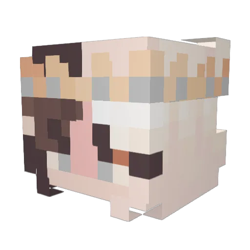 Sunflower706 Minecraft avatar head, 3D render