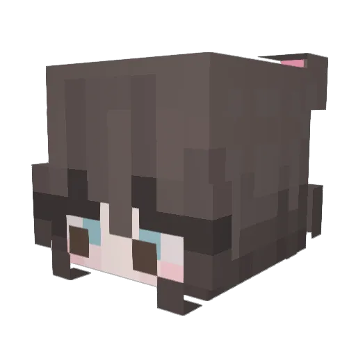 Sunflower7144 Minecraft avatar head, 3D render