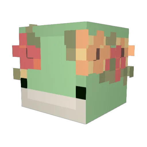 SunflowerJester Minecraft avatar head, 3D render