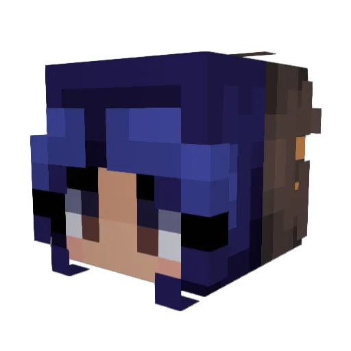 SunflowerRiff Minecraft avatar head, 3D render