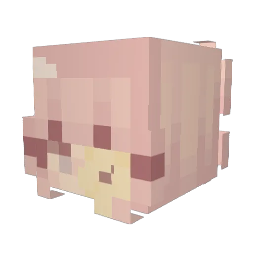 SunflowerSpace Minecraft avatar head, 3D render