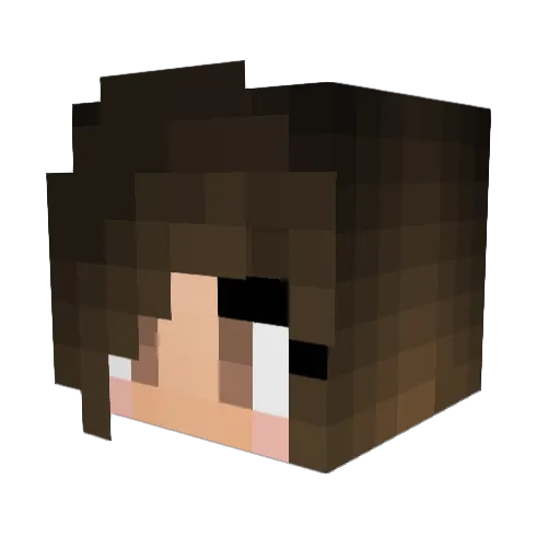 SunflowerStorm Minecraft avatar head, 3D render
